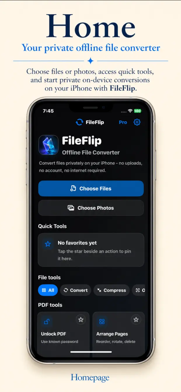 Home screen showing quick import buttons and private conversion tools on iPhone.